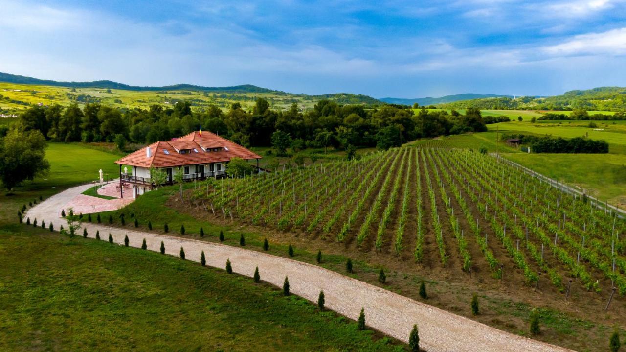 Pensiunea Sonnenhof Sighişoara Dış mekan fotoğraf