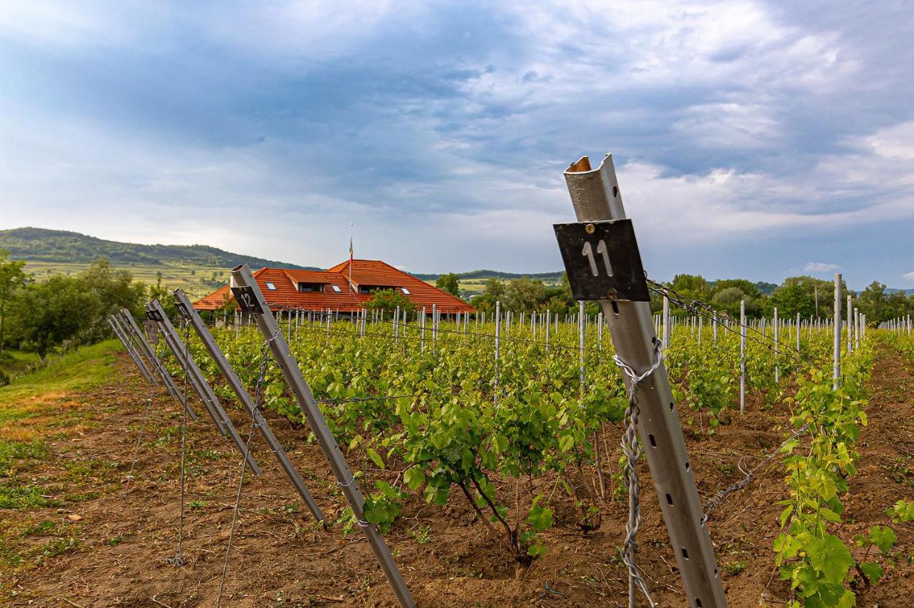 Pensiunea Sonnenhof Sighişoara Dış mekan fotoğraf